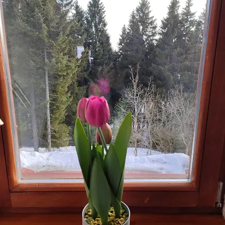 Apartma Sumer Rogla